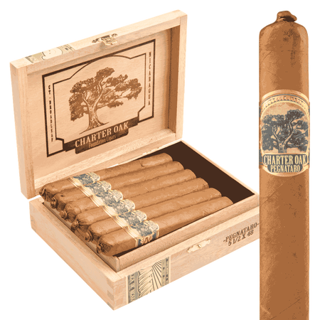 foundation charter oak especiales pegnataro / 5.5 x 48